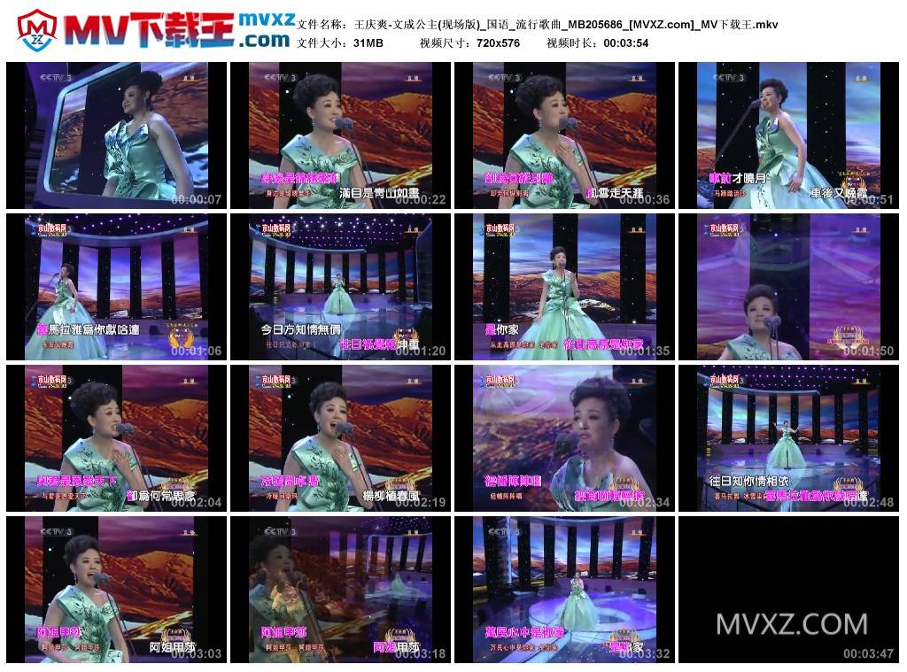 王庆爽-文成公主(现场版)_国语_流行歌曲_MB205686